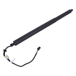 535123556-A — Tailgate Strut