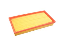 LR161843-A — Air Filter