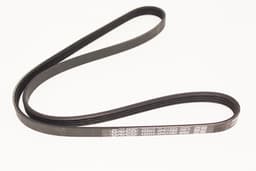 EAC9898-A — Air Pump / Water Pump Drive Belt 6.0L