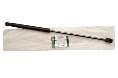 Bonnet Gas Strut