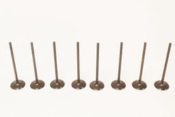 LR010863-A — Inlet Valve (set of 4)