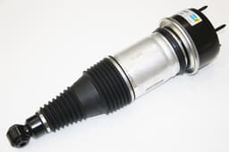 C2D36648-O — Air Spring And Damper - Rear