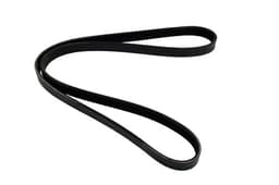 PQS101130-O — Drive Belt - Alternator