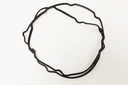 AJ812399-O — Camshaft Cover Gasket RH