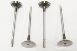 4646004-A — Valve - Exhaust (pack of 4)
