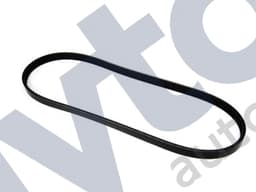 EAC9369-O — Alternator Belt - V12