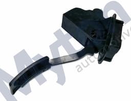 XR819173 — Accelerator Pedal