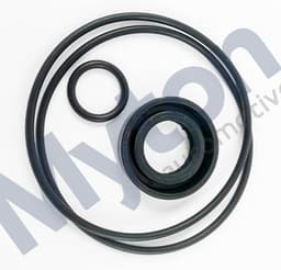 AEU2787-A — Power Steering Pump Seal Kit (not 6.0L)