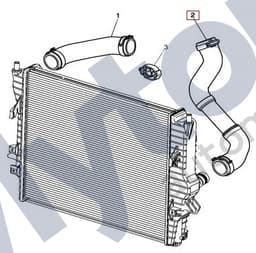 XR841496 — Bottom Hose - 4.2L Supercharged