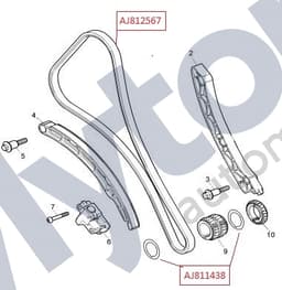 C2Z22078 — Primary timing chain - INA chain system