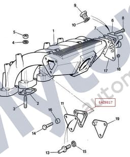 EAC9817 — Induction manifold - End cover gasket