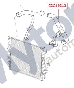 C2C16213 — Radiator - Bottom Hose