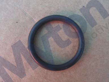 O-Ring V12 Engine