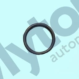 CBC4967-A — Heater Matrix O-Ring