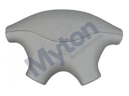 XR825748LGP — Drivers Side Airbag Module