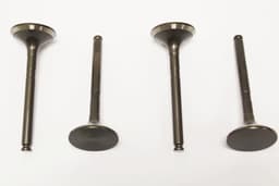 LGH100980L-A — Valve Exhaust (pack of 4)