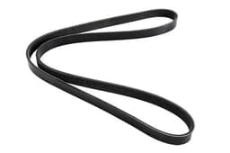PQS101180-O — Drive Belt - Alternator