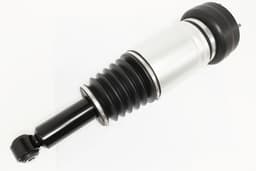 C2C41343-A — Rear Air Spring and Damper
