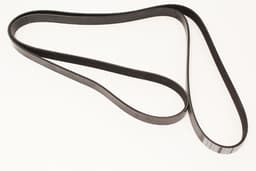 XR830447-A — Engine Drive Belt - V8