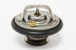 AJ86484-O — Thermostat + seal