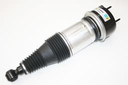 C2C41341-O — Rear Air Spring and Damper