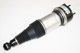 C2D33847-O — Air Spring And Damper - Rear