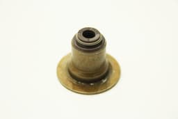 XR85231-A — Valve Seal - 3.0L V6 engines