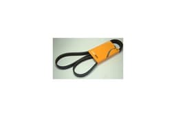 PQS100851-O — Drive Belt - Alternator  