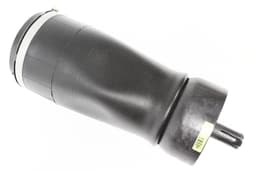 LR034262-O — Spring Rear - Air Suspension