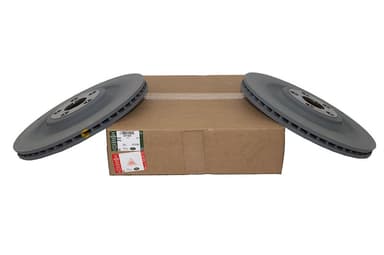Rear brake disc (Pair) - 376mm