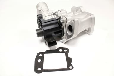 Exhaust gas recirculation valve