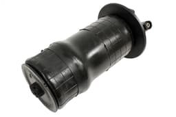 RKB101460-A — Air Spring Rear Susp