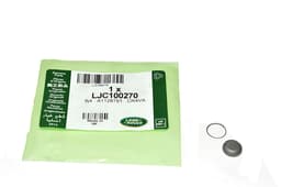 LJC100270 — Cap - Valve Stem