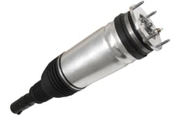 LR102248-A — Shock Absorber Assy Front, RH