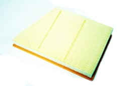 LR161844-A — Air Filter