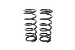 TF011 — Heavy Load Rear Springs - Pair