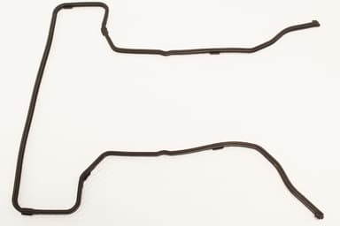 Timing Cover Seal