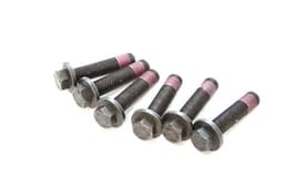 ERR6581-O — Bolt - Flywheel - Td5 (Pack of 8)