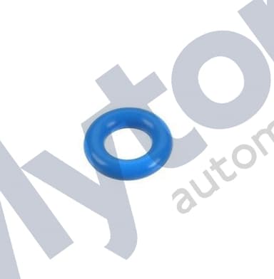 Fuel injector - Lower O-Ring