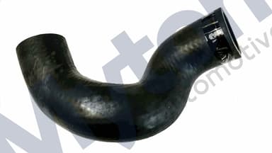 Bottom Hose