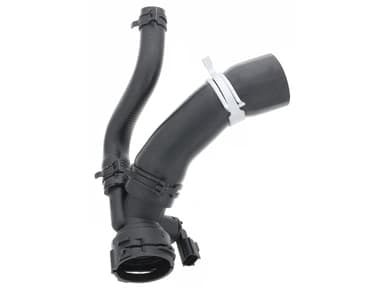 Bottom Hose - Radiator