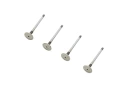 LR008130-A — Valve - Exhaust (Set of 4)