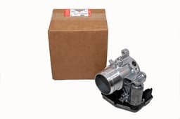 LR012598 — Throttle Body And Motor
