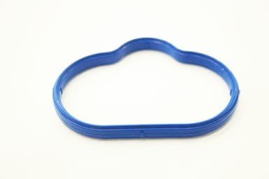 Inlet manifold gasket