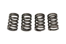 ERR4640-A — Spring - Valve - Cylinder Head (Pack of 4)