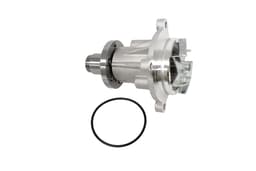LR008863-O — Water Pump